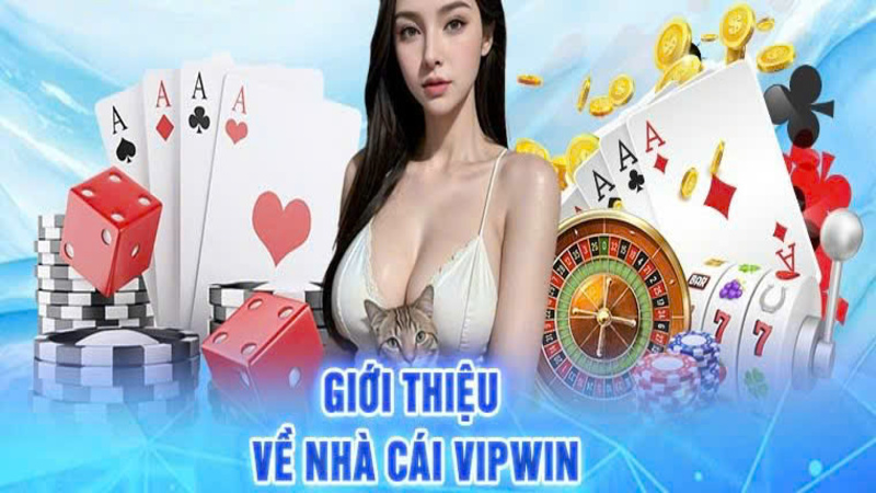 Giới thiệu thông tin chi tiết về sân chơi VIPWIN 